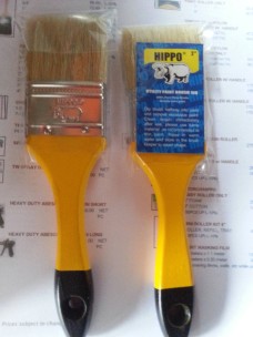 paintbrush forsale philippines