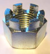 CASTELLATED NUT for sale philippines